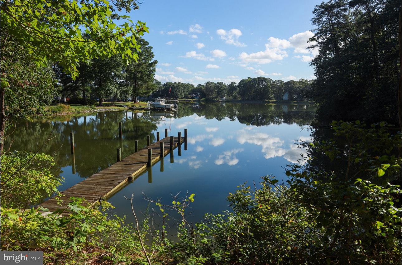 000 OLD FAIRPORT RD, REEDVILLE, Virginia 22539, ,Land,For sale,000 OLD FAIRPORT RD,VANV2001746 MLS # VANV2001746