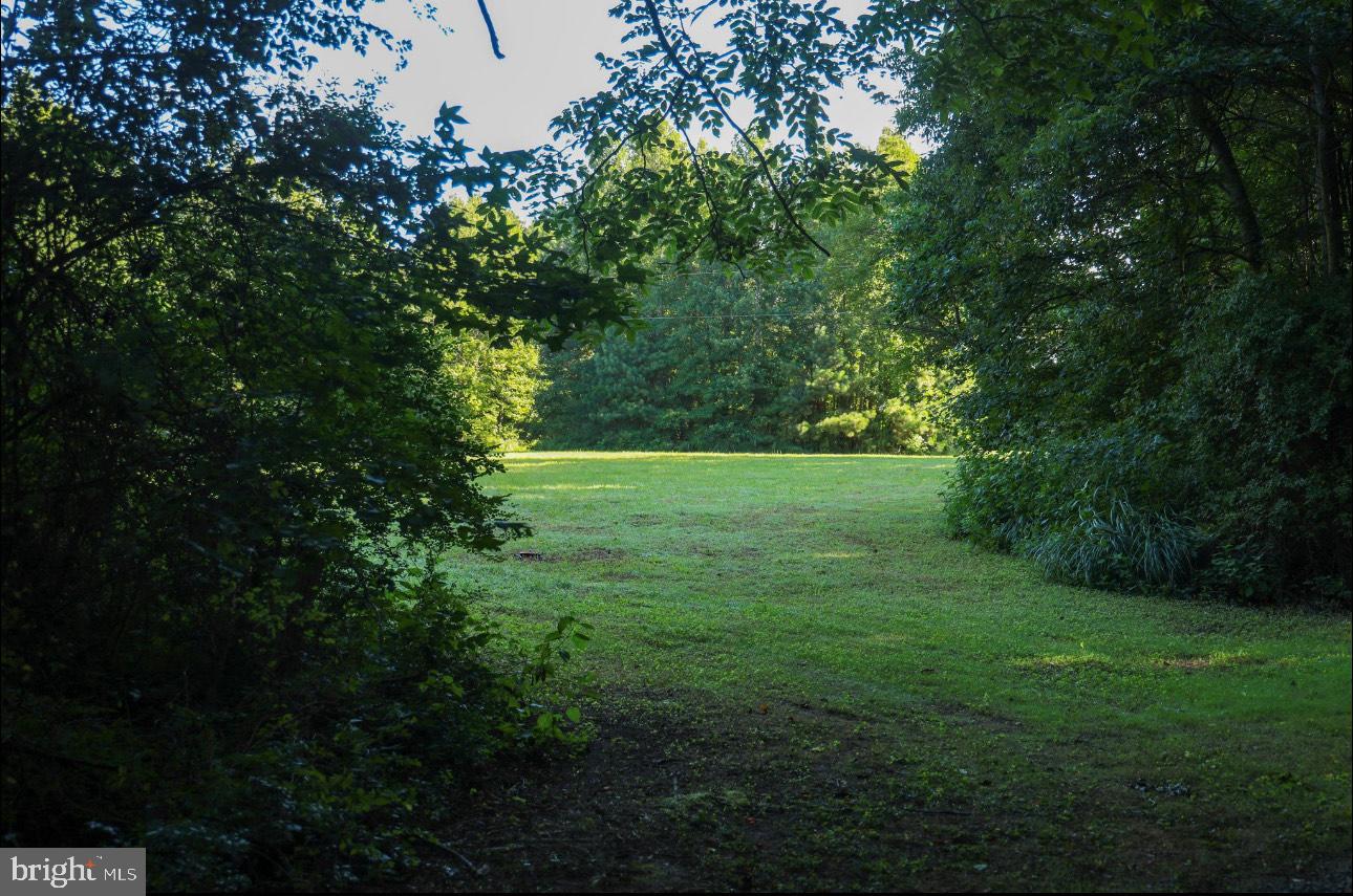 000 OLD FAIRPORT RD, REEDVILLE, Virginia 22539, ,Land,For sale,000 OLD FAIRPORT RD,VANV2001746 MLS # VANV2001746