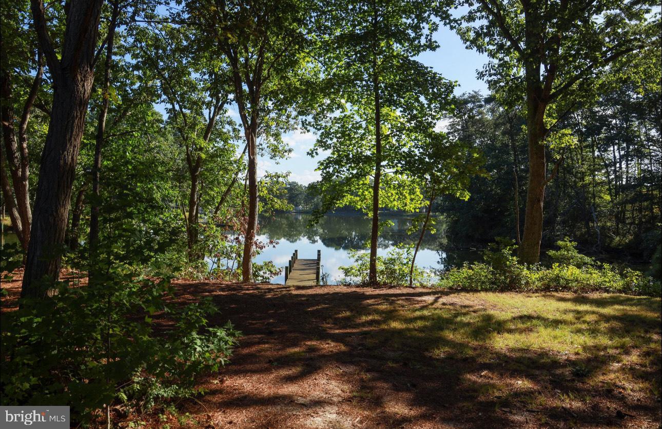 000 OLD FAIRPORT RD, REEDVILLE, Virginia 22539, ,Land,For sale,000 OLD FAIRPORT RD,VANV2001746 MLS # VANV2001746