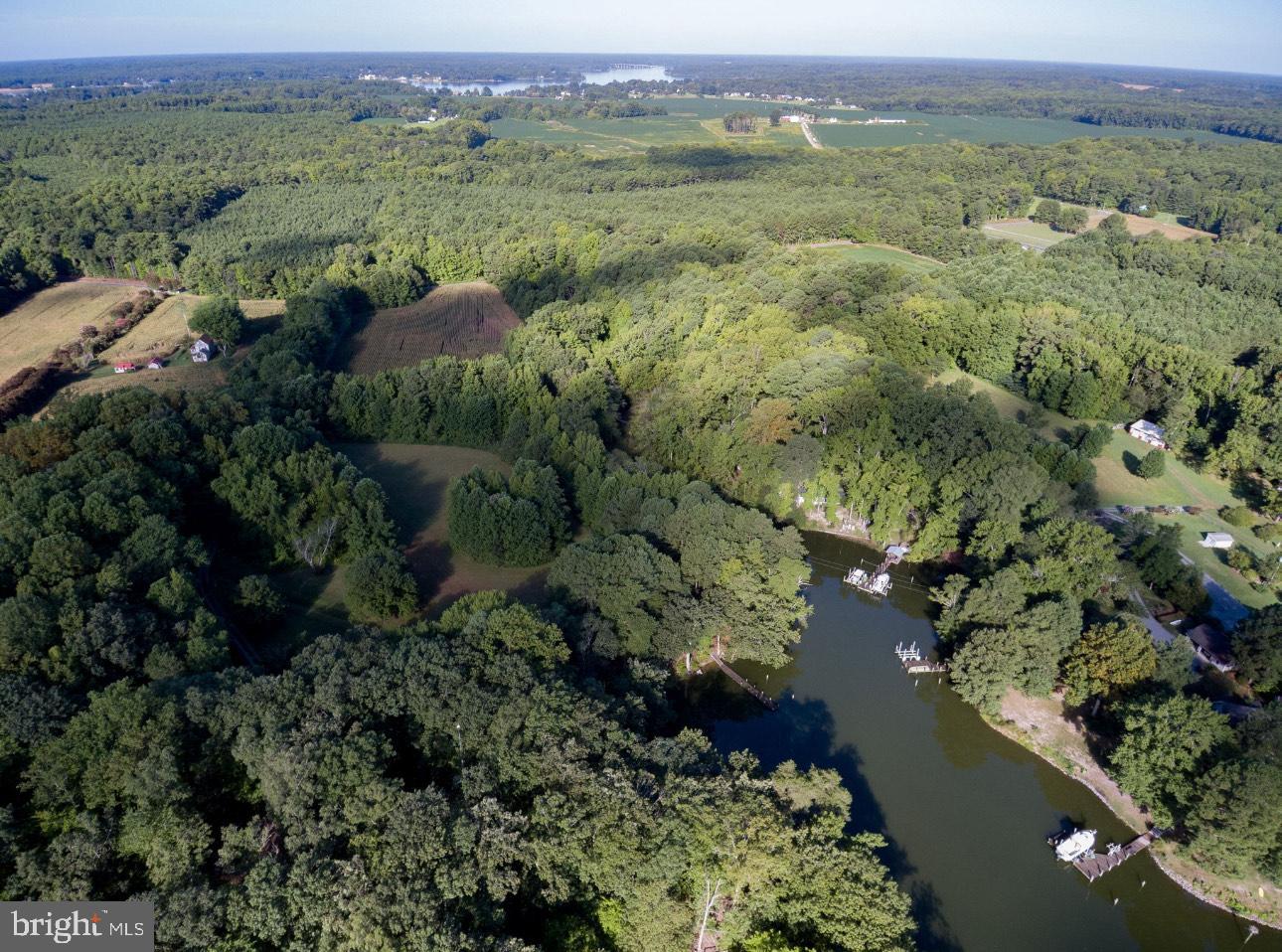 000 OLD FAIRPORT RD, REEDVILLE, Virginia 22539, ,Land,For sale,000 OLD FAIRPORT RD,VANV2001746 MLS # VANV2001746