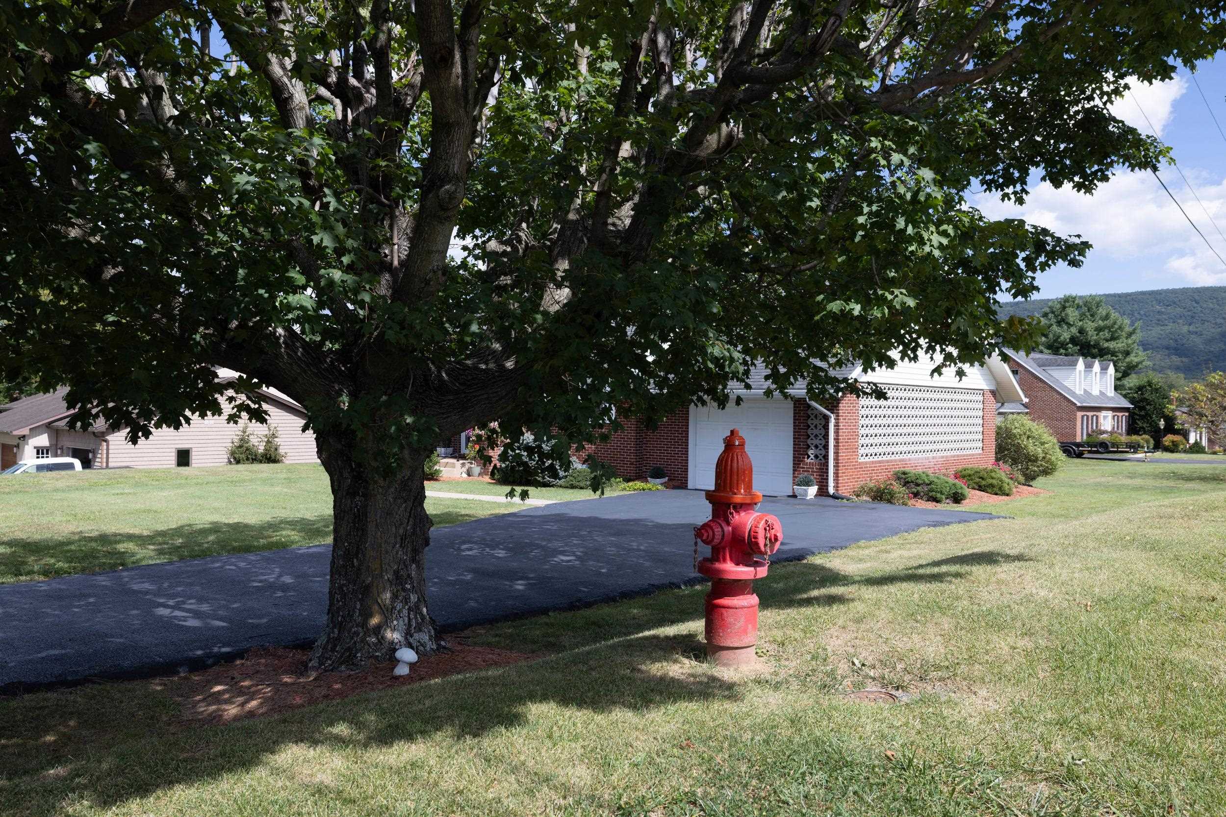 Even has a fire hydrant!