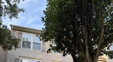11224 GANDER CT, FREDERICKSBURG, Virginia 22407, 3 Bedrooms Bedrooms, ,2 BathroomsBathrooms,Residential,For sale,11224 GANDER CT,VASP2035906 MLS # VASP2035906