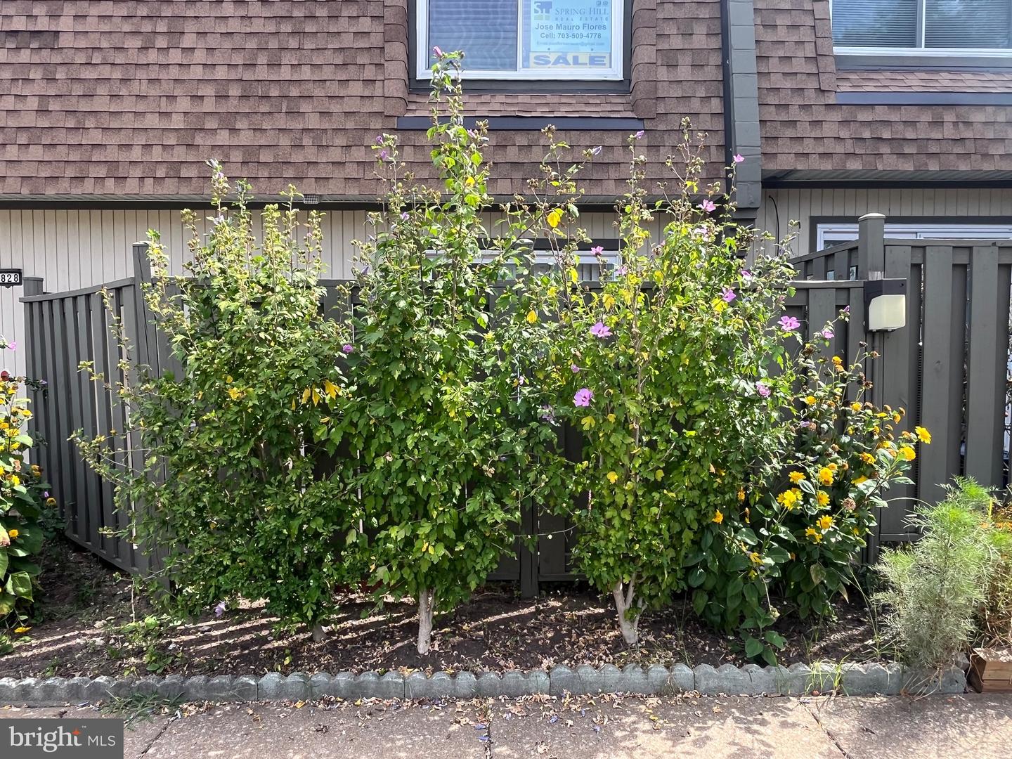 3828 MONTE VISTA PL #102B, ALEXANDRIA, Virginia 22309, 3 Bedrooms Bedrooms, ,2 BathroomsBathrooms,Residential,For sale,3828 MONTE VISTA PL #102B,VAFX2264700 MLS # VAFX2264700