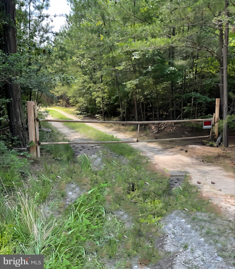 LOT 5 WESTMORELAND 4-2, COLONIAL BEACH, Virginia 22443, ,Land,For sale,LOT 5 WESTMORELAND 4-2,VAWE2009680 MLS # VAWE2009680