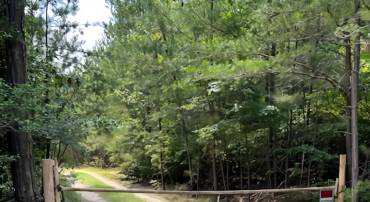 LOT 5 WESTMORELAND 4-2, COLONIAL BEACH, Virginia 22443, ,Land,For sale,LOT 5 WESTMORELAND 4-2,VAWE2009680 MLS # VAWE2009680