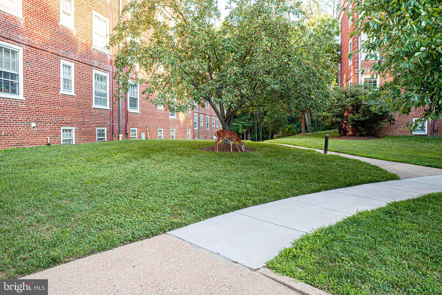 3720 39TH ST NW #D166, WASHINGTON, District Of Columbia 20016, 1 Bedroom Bedrooms, ,1 BathroomBathrooms,Residential,For sale,3720 39TH ST NW #D166,DCDC2220154 MLS # DCDC2220154