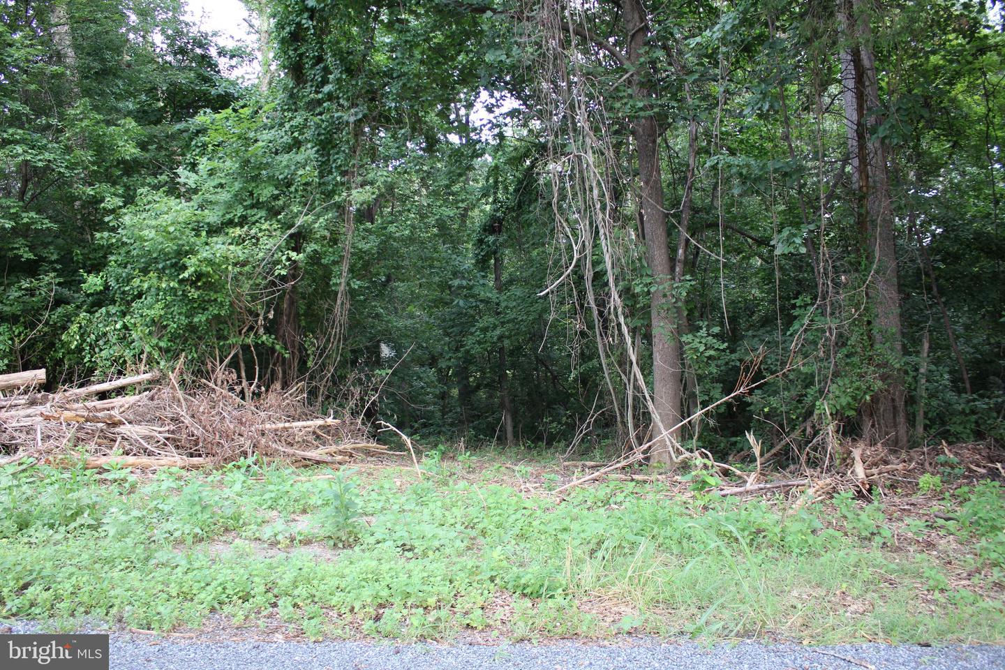 SUGAR MAPLE RD, FRONT ROYAL, Virginia 22630, ,Land,For sale,SUGAR MAPLE RD,VAWR2011878 MLS # VAWR2011878