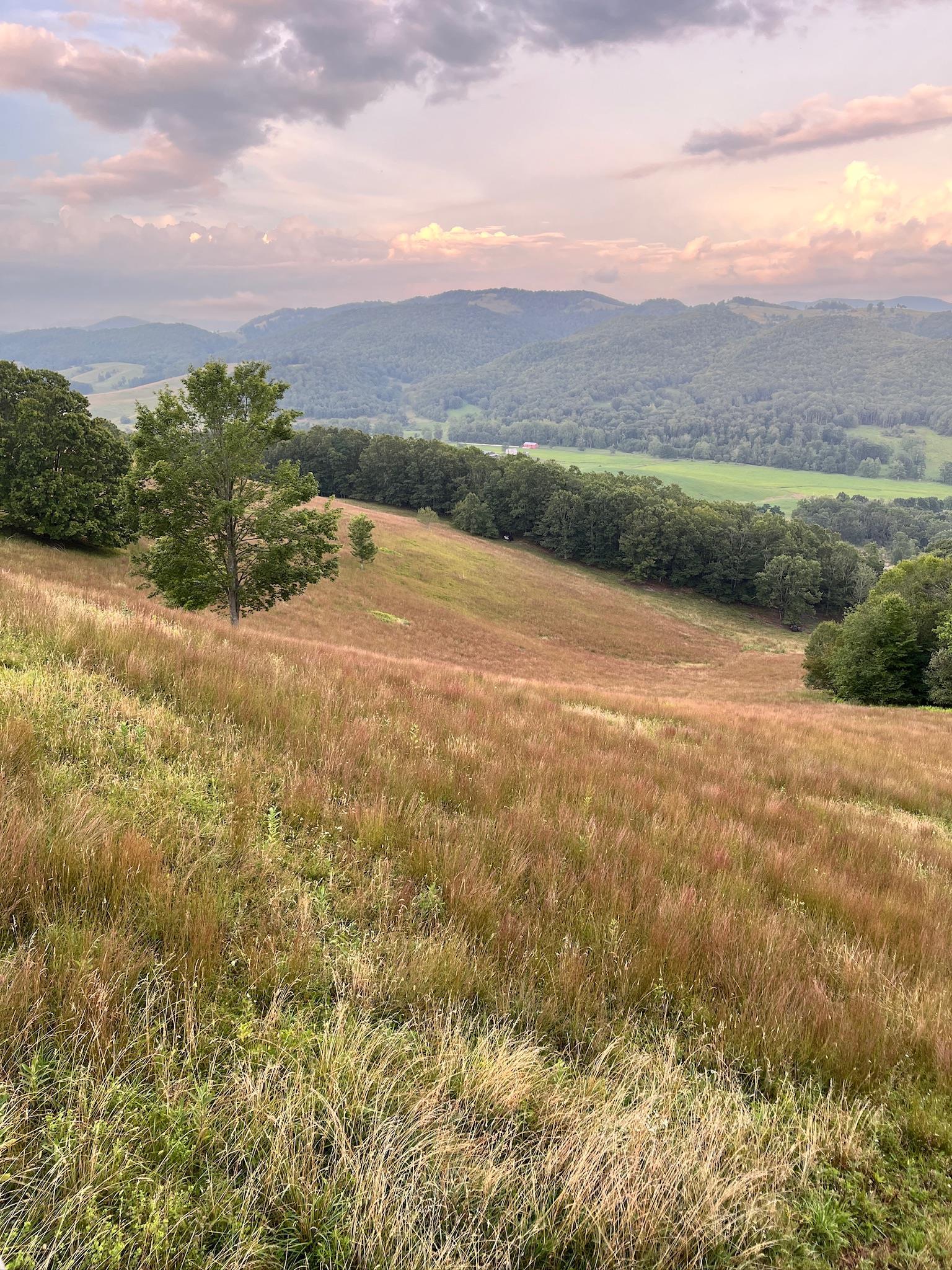 .TBD DOE HILL RD, MC DOWELL, Virginia 24458, ,Land,S&M,.TBD DOE HILL RD,668548 MLS # 668548