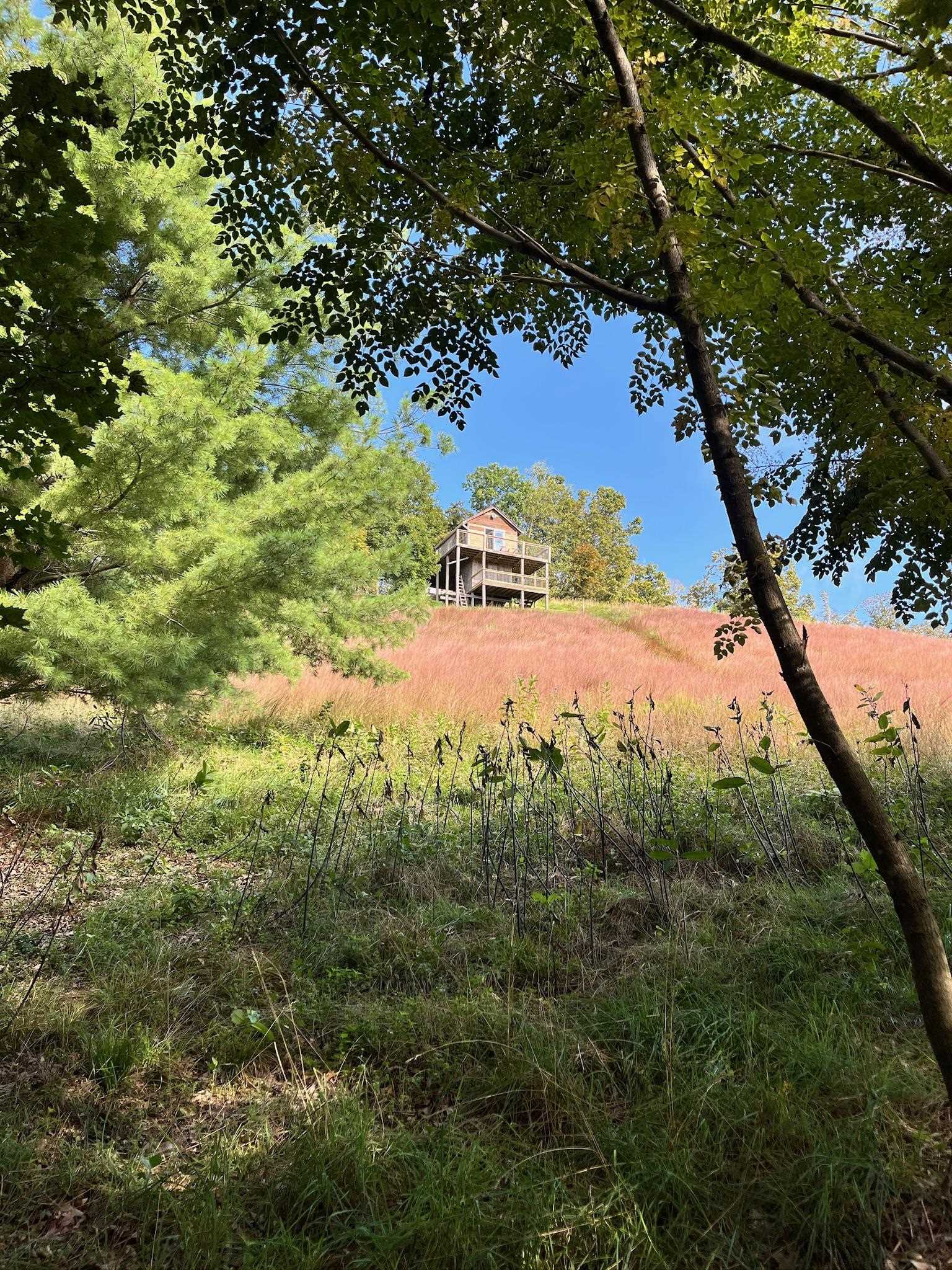 .TBD DOE HILL RD, MC DOWELL, Virginia 24458, ,Land,S&M,.TBD DOE HILL RD,668548 MLS # 668548