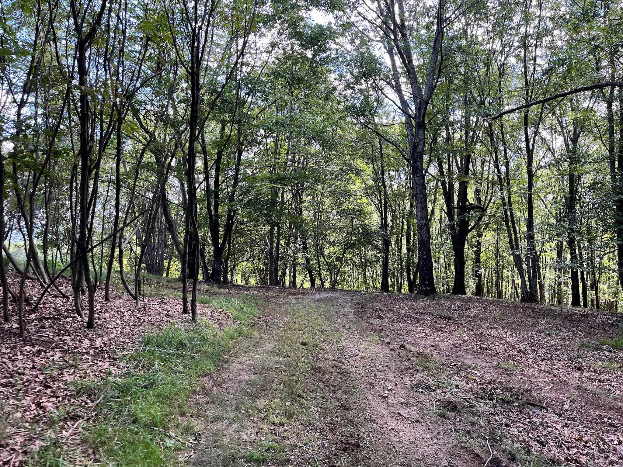 .TBD DOE HILL RD, MC DOWELL, Virginia 24458, ,Land,S&M,.TBD DOE HILL RD,668548 MLS # 668548