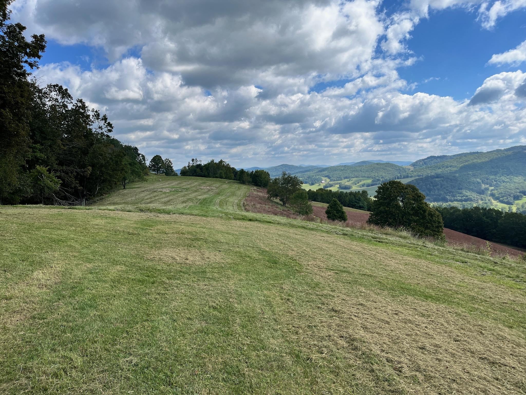 .TBD DOE HILL RD, MC DOWELL, Virginia 24458, ,Land,S&M,.TBD DOE HILL RD,668548 MLS # 668548