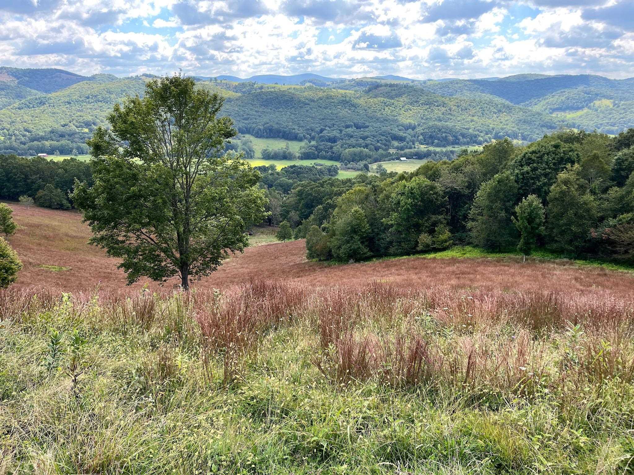 .TBD DOE HILL RD, MC DOWELL, Virginia 24458, ,Land,S&M,.TBD DOE HILL RD,668548 MLS # 668548