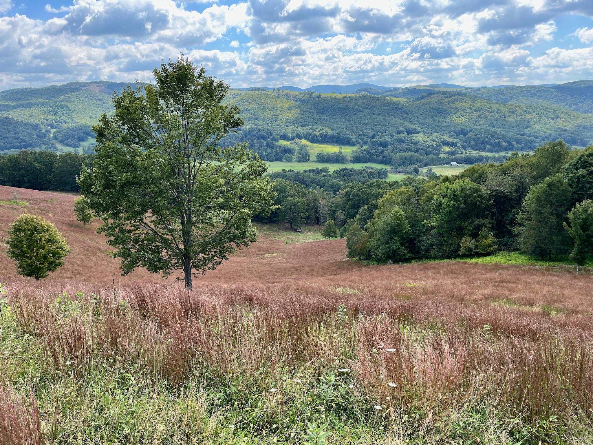 .TBD DOE HILL RD, MC DOWELL, Virginia 24458, ,Land,S&M,.TBD DOE HILL RD,668548 MLS # 668548