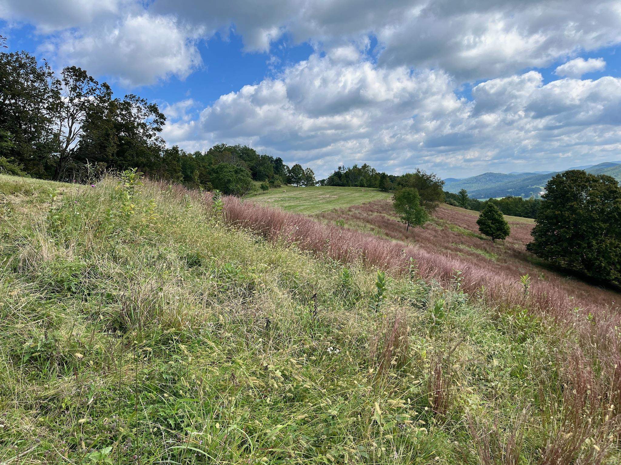 .TBD DOE HILL RD, MC DOWELL, Virginia 24458, ,Land,S&M,.TBD DOE HILL RD,668548 MLS # 668548