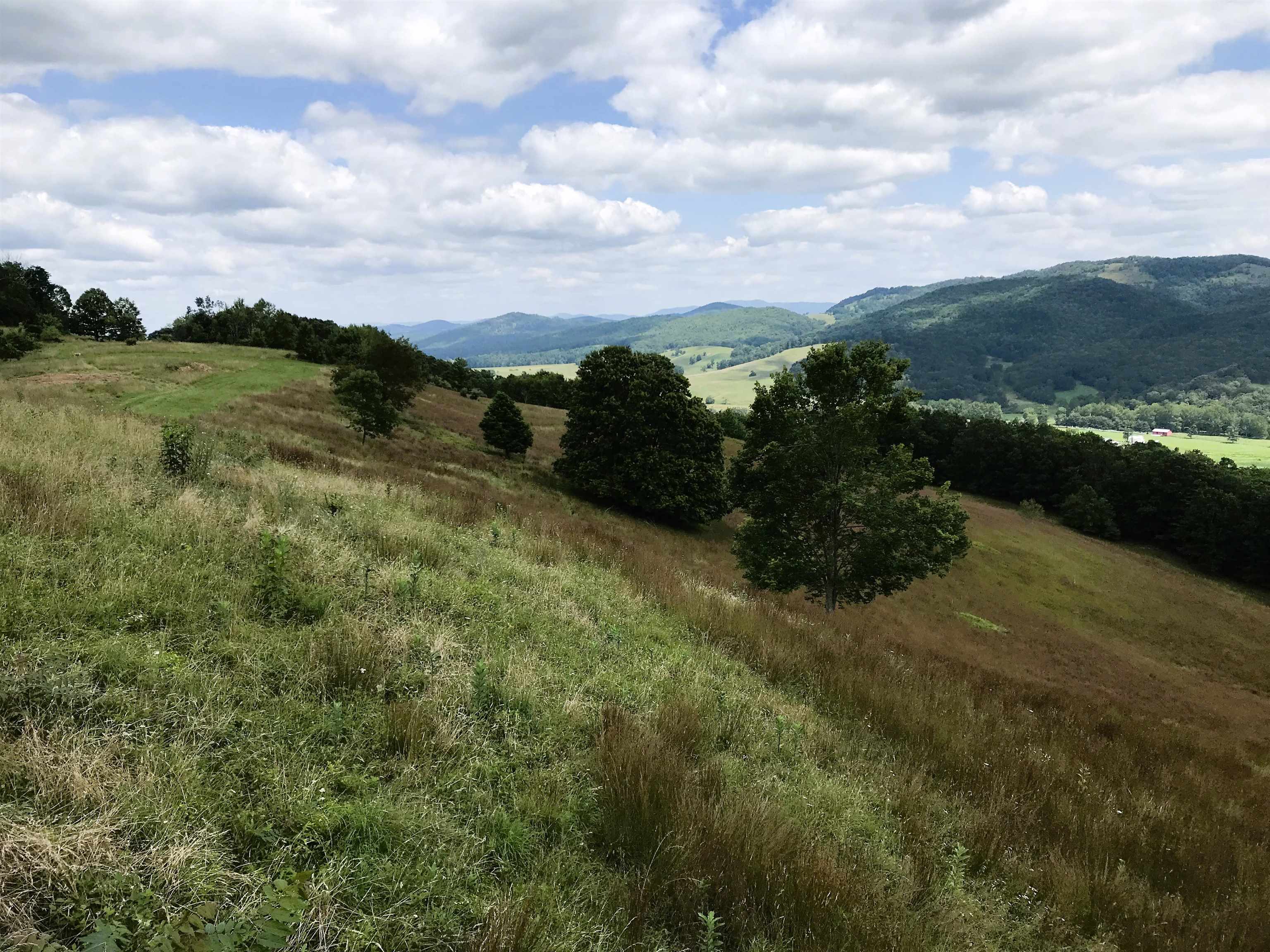 .TBD DOE HILL RD, MC DOWELL, Virginia 24458, ,Land,S&M,.TBD DOE HILL RD,668548 MLS # 668548