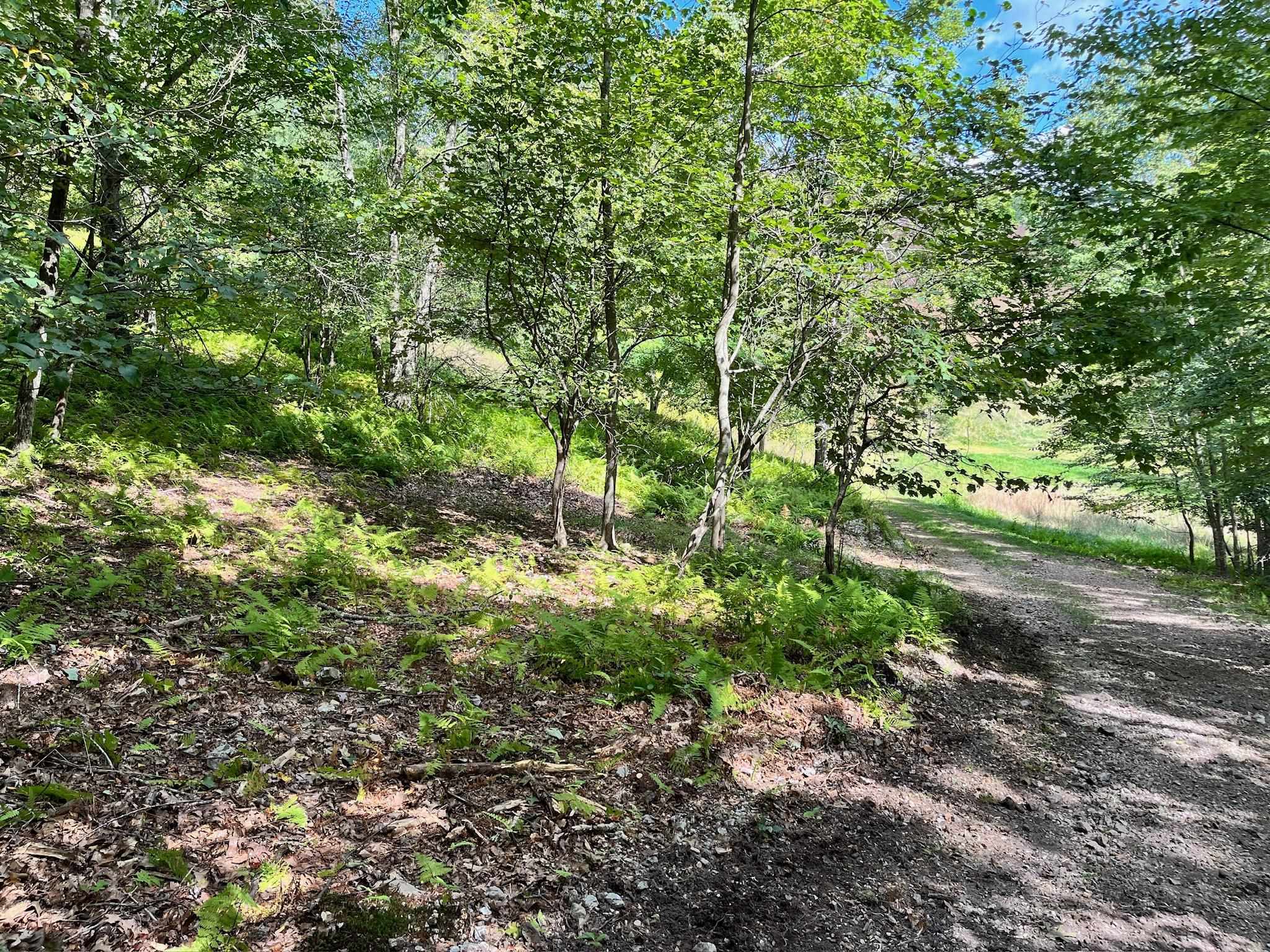 .TBD DOE HILL RD, MC DOWELL, Virginia 24458, ,Land,S&M,.TBD DOE HILL RD,668548 MLS # 668548