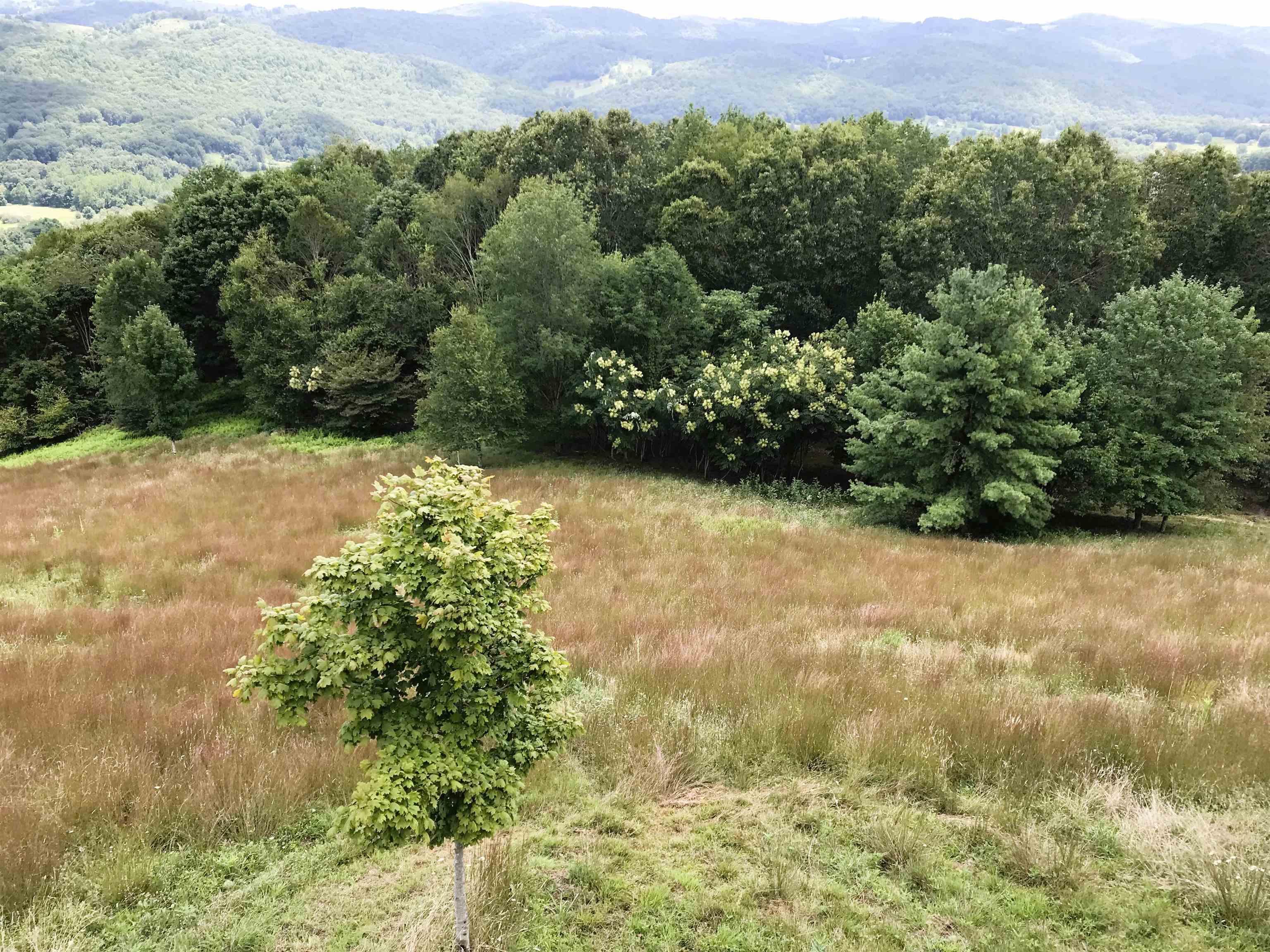 .TBD DOE HILL RD, MC DOWELL, Virginia 24458, ,Land,S&M,.TBD DOE HILL RD,668548 MLS # 668548