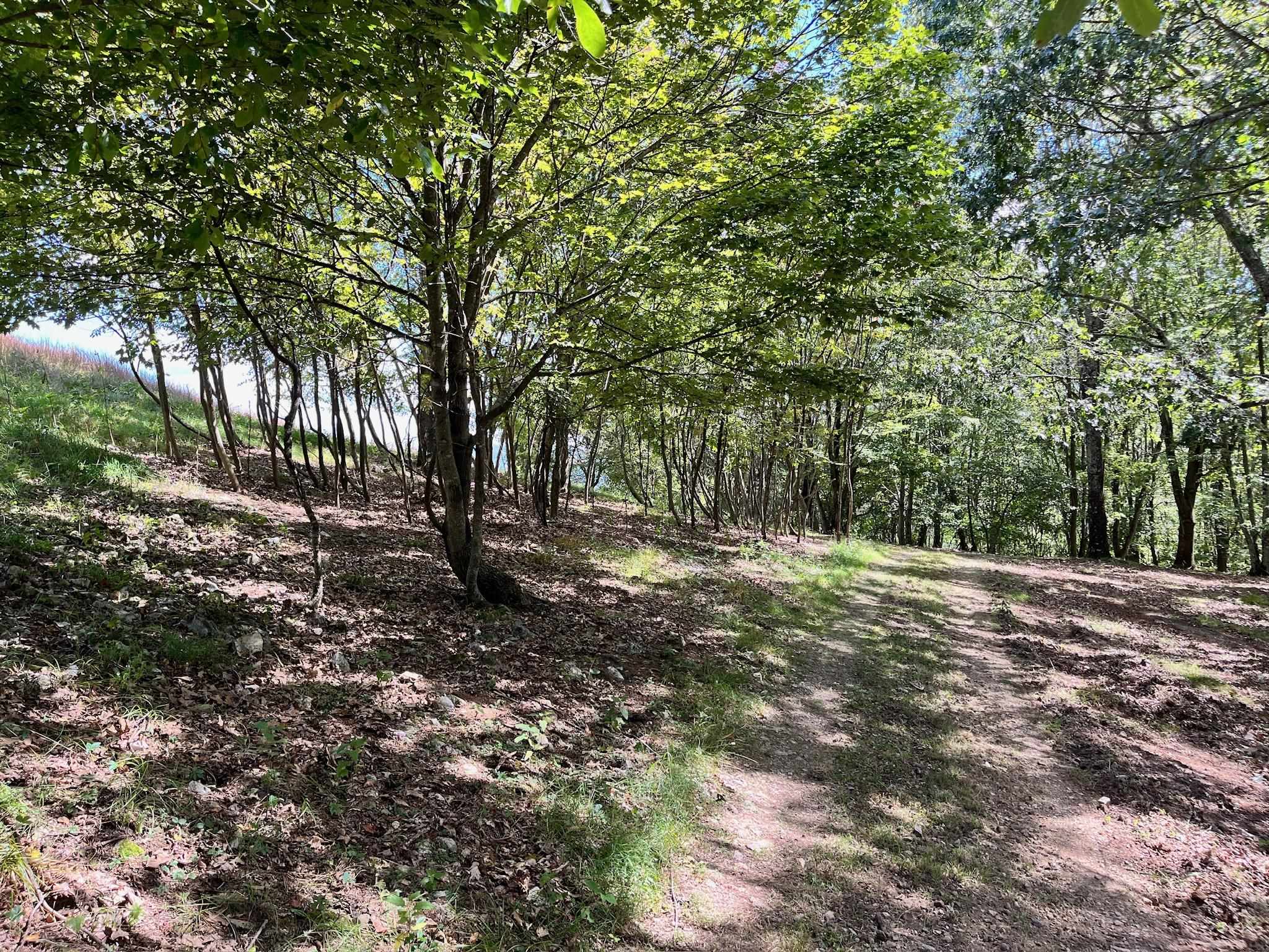 .TBD DOE HILL RD, MC DOWELL, Virginia 24458, ,Land,S&M,.TBD DOE HILL RD,668548 MLS # 668548