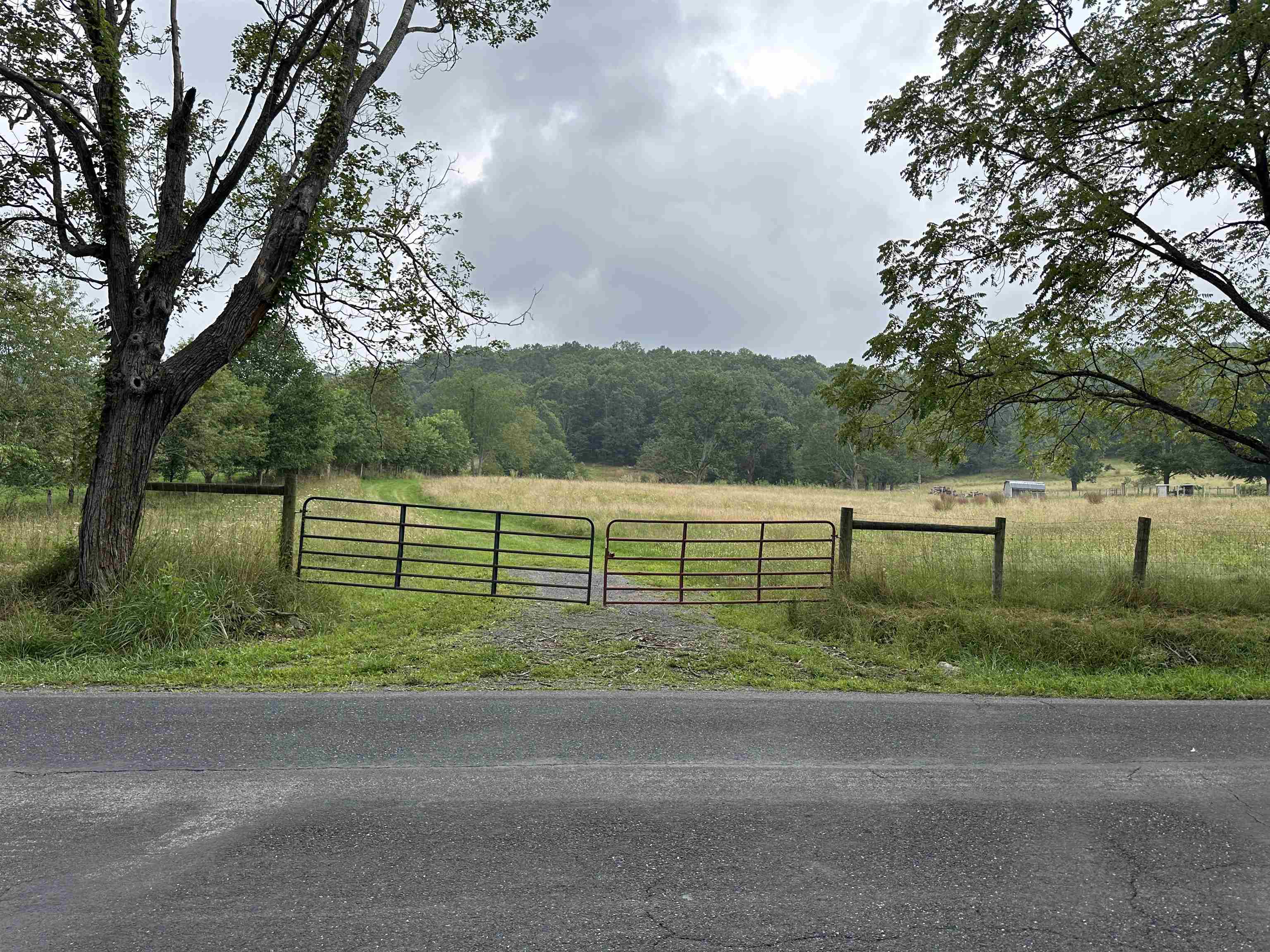 .TBD DOE HILL RD, MC DOWELL, Virginia 24458, ,Land,S&M,.TBD DOE HILL RD,668548 MLS # 668548