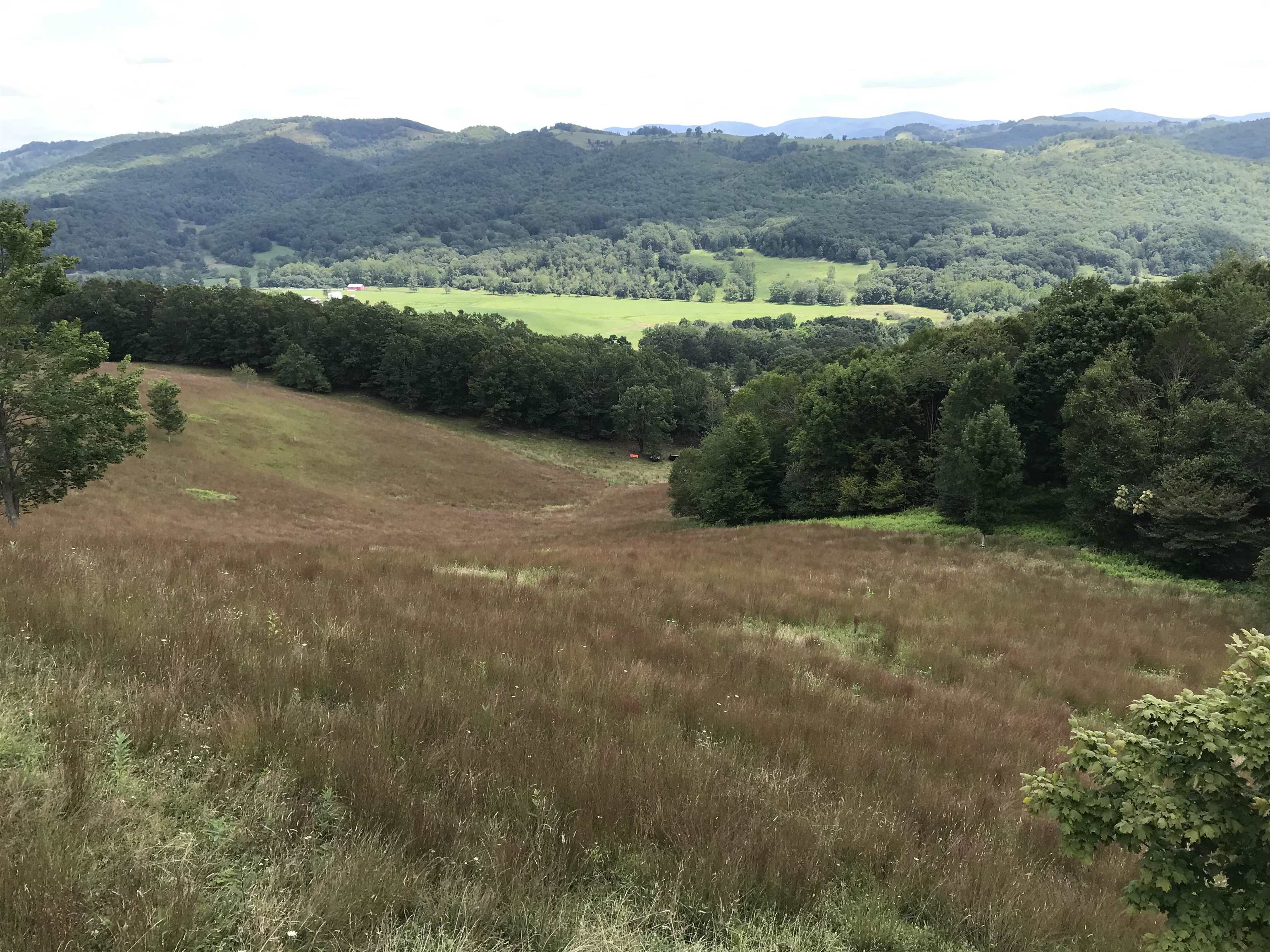.TBD DOE HILL RD, MC DOWELL, Virginia 24458, ,Land,S&M,.TBD DOE HILL RD,668548 MLS # 668548