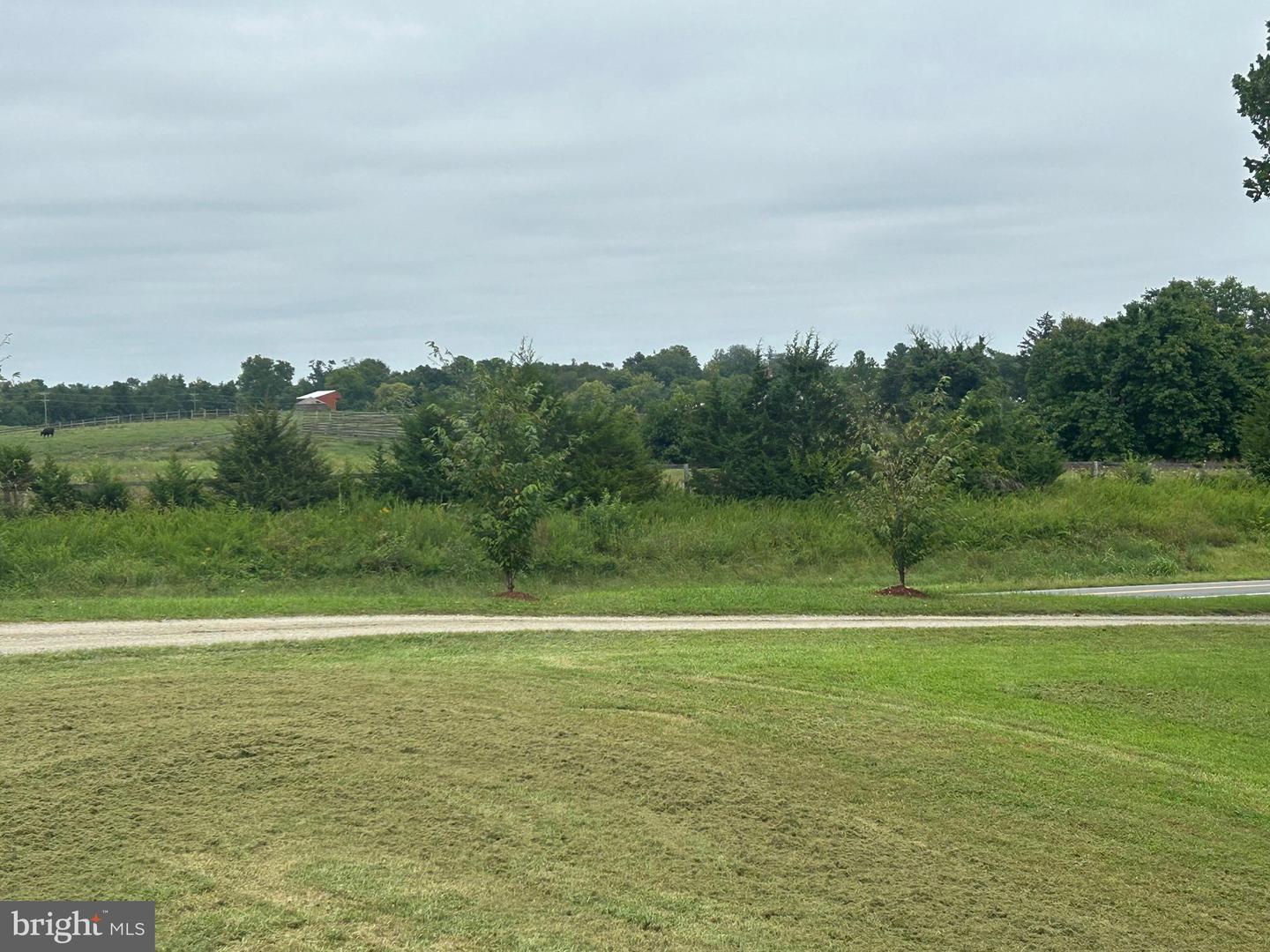 11531 LORD FAIRFAX HWY, BOYCE, Virginia 22620, 3 Bedrooms Bedrooms, ,3 BathroomsBathrooms,Residential,For sale,11531 LORD FAIRFAX HWY,VACL2005992 MLS # VACL2005992