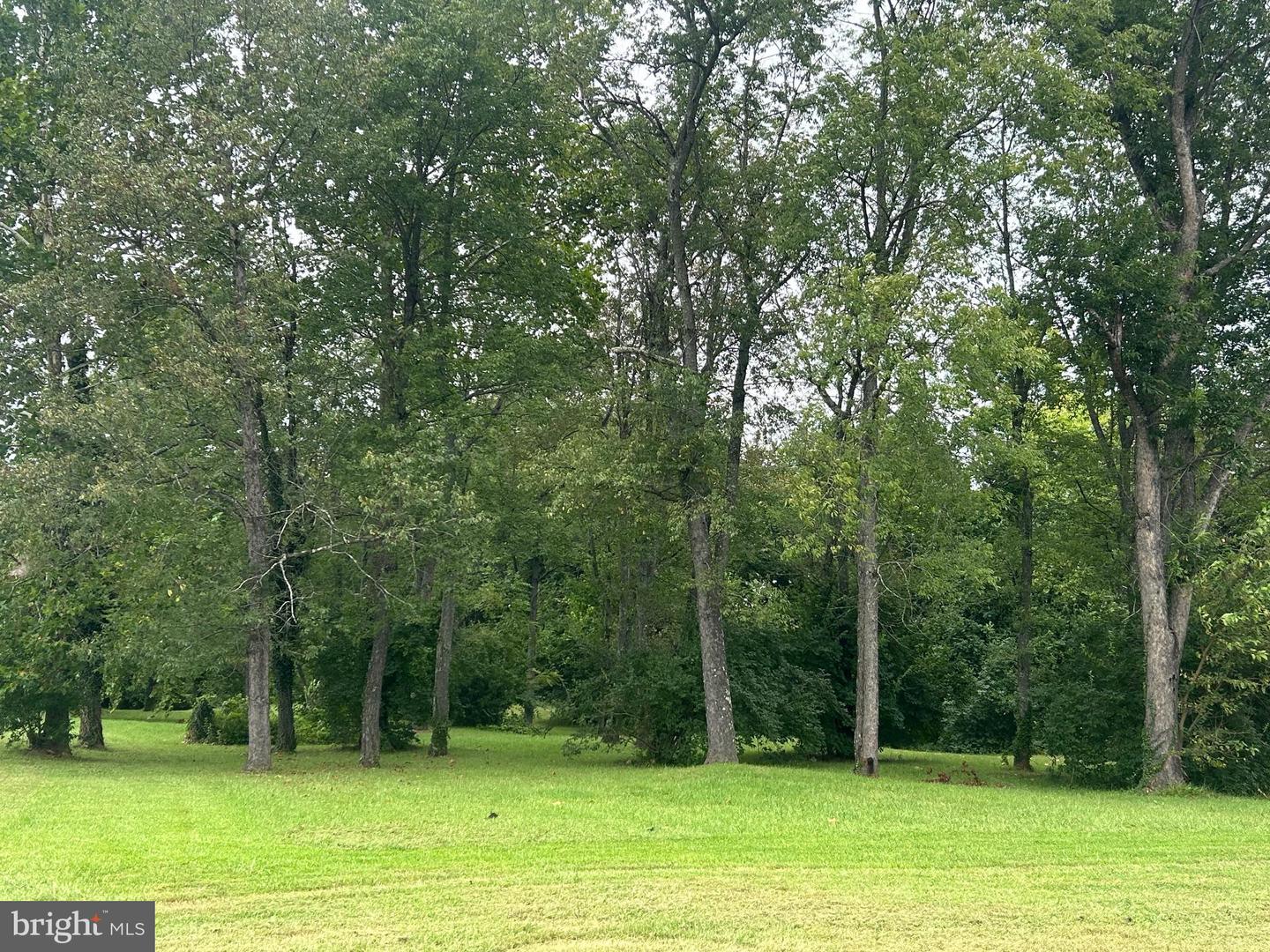 11531 LORD FAIRFAX HWY, BOYCE, Virginia 22620, 3 Bedrooms Bedrooms, ,3 BathroomsBathrooms,Residential,For sale,11531 LORD FAIRFAX HWY,VACL2005992 MLS # VACL2005992