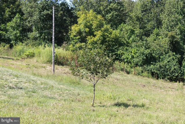 18257 CARTER LN, BRANDY STATION, Virginia 22714, 1 Bedroom Bedrooms, ,1 BathroomBathrooms,Residential,For sale,18257 CARTER LN,VACU2011474 MLS # VACU2011474