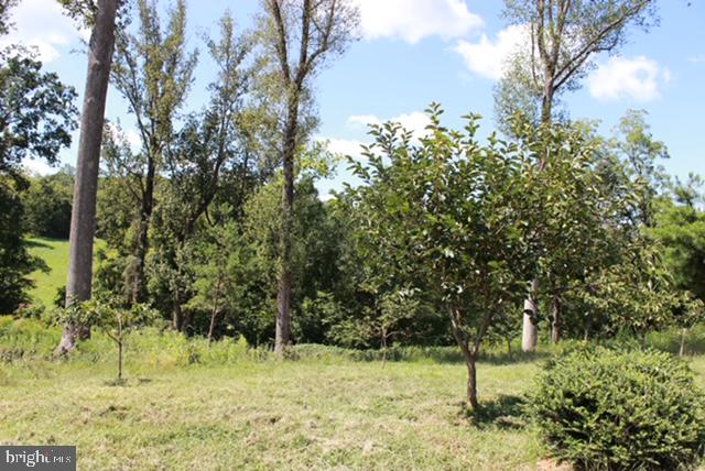 18257 CARTER LN, BRANDY STATION, Virginia 22714, 1 Bedroom Bedrooms, ,1 BathroomBathrooms,Residential,For sale,18257 CARTER LN,VACU2011474 MLS # VACU2011474