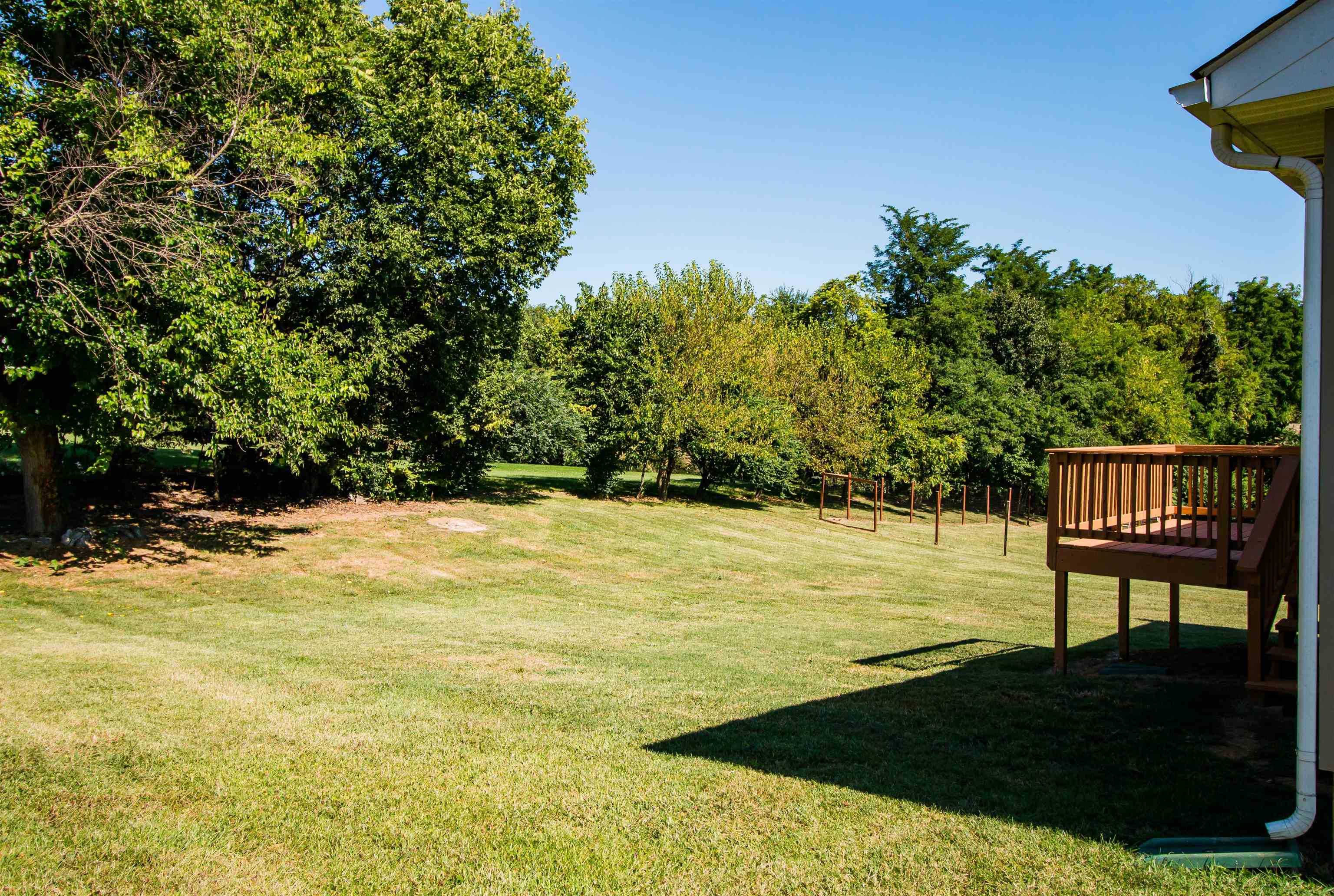 439 N SUMMIT AVE, WOODSTOCK, Virginia 22664, 3 Bedrooms Bedrooms, ,2 BathroomsBathrooms,Residential,439 N SUMMIT AVE,668579 MLS # 668579