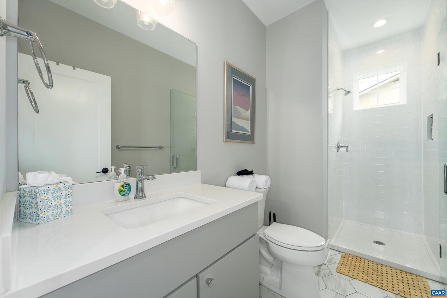 207 HARTMANS MILL RD, CHARLOTTESVILLE, Virginia 22902, 6 Bedrooms Bedrooms, ,5 BathroomsBathrooms,Residential,For sale,207 HARTMANS MILL RD,668294 MLS # 668294