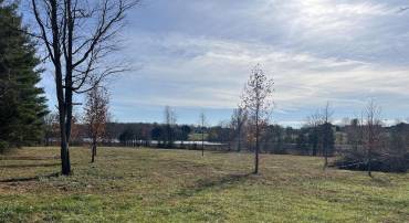 RILEY RD, WARRENTON, Virginia 20187, ,Land,For sale,RILEY RD,VAFQ2014144 MLS # VAFQ2014144