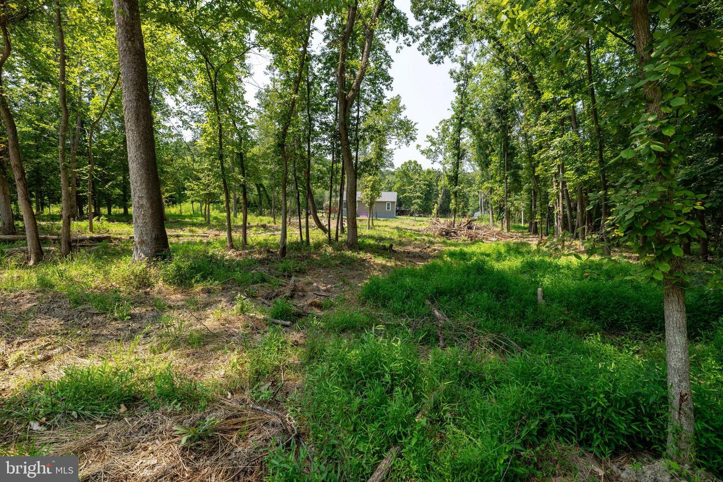 LOT 6 & 7 FISHERMANS LN, LURAY, Virginia 22835, ,Land,For sale,LOT 6 & 7 FISHERMANS LN,VAPA2005280 MLS # VAPA2005280