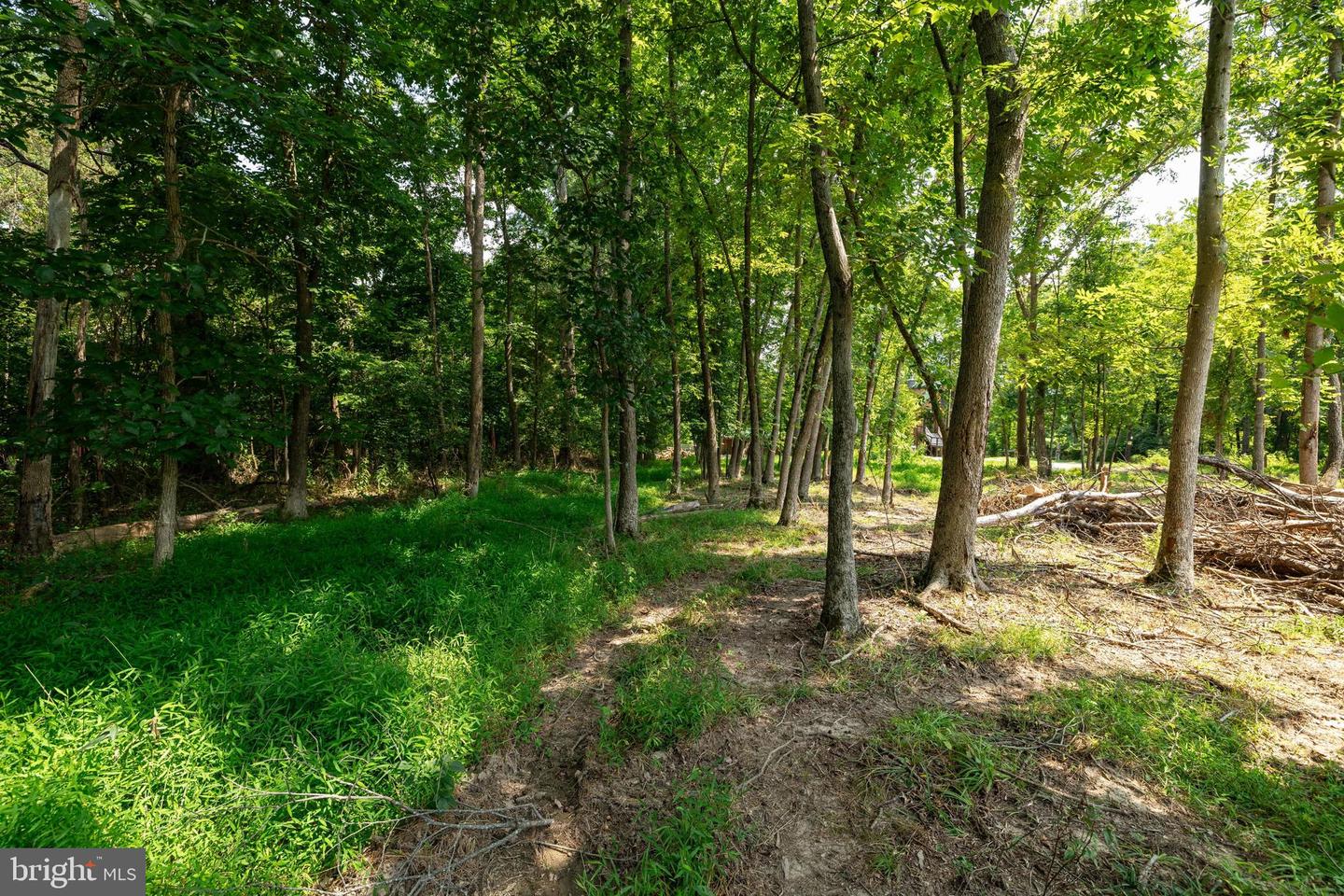 LOT 6 & 7 FISHERMANS LN, LURAY, Virginia 22835, ,Land,For sale,LOT 6 & 7 FISHERMANS LN,VAPA2005280 MLS # VAPA2005280