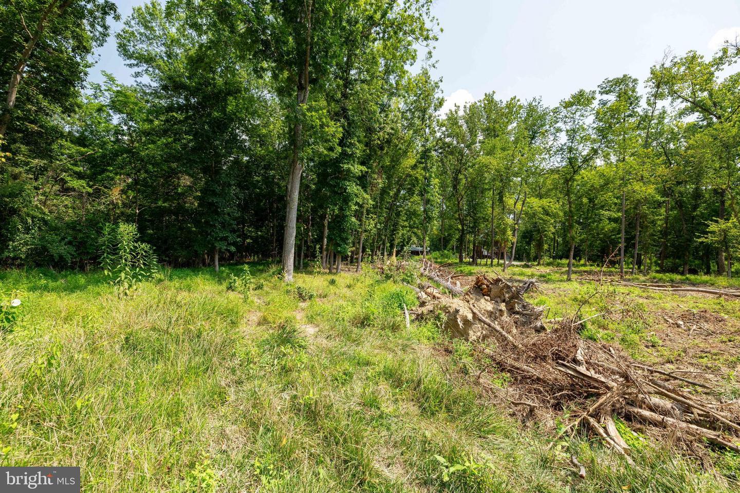 LOT 6 & 7 FISHERMANS LN, LURAY, Virginia 22835, ,Land,For sale,LOT 6 & 7 FISHERMANS LN,VAPA2005280 MLS # VAPA2005280