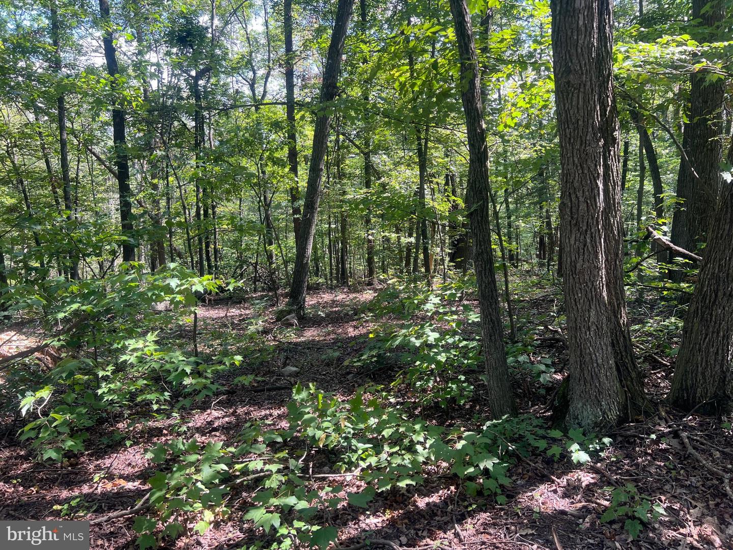 LOT 17 LAKE DR, NEW MARKET, Virginia 22844, ,Land,For sale,LOT 17 LAKE DR,VASH2012428 MLS # VASH2012428