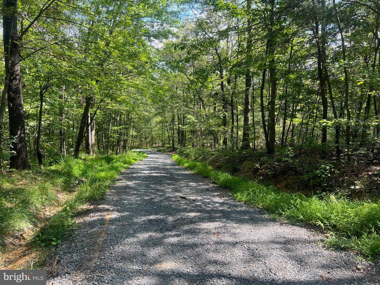LOT 17 LAKE DR, NEW MARKET, Virginia 22844, ,Land,For sale,LOT 17 LAKE DR,VASH2012428 MLS # VASH2012428