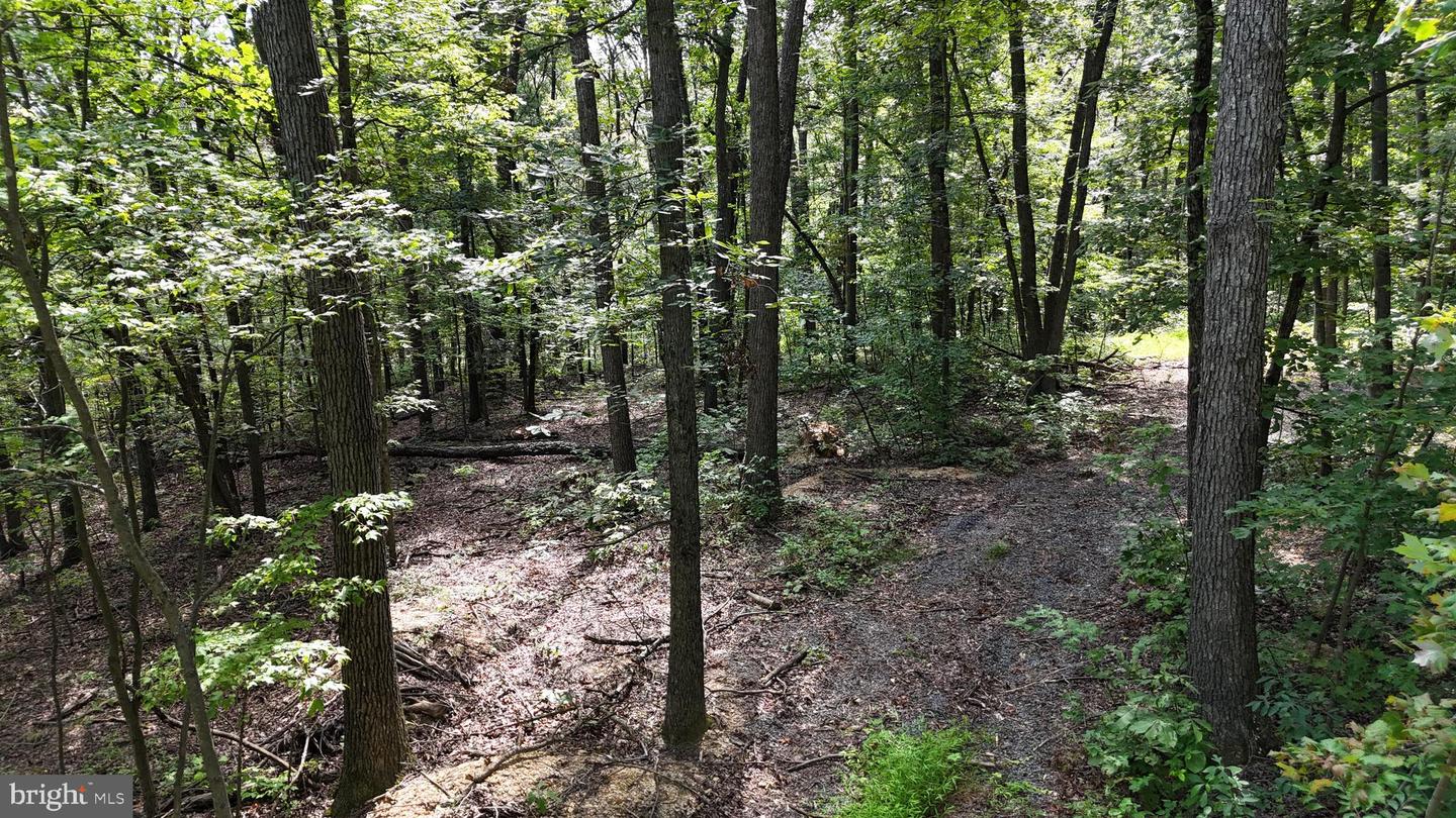 LOT 17 LAKE DR, NEW MARKET, Virginia 22844, ,Land,For sale,LOT 17 LAKE DR,VASH2012428 MLS # VASH2012428