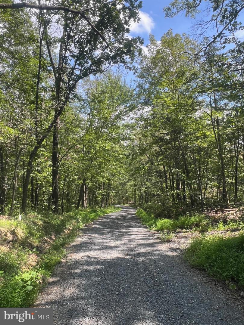 LOT 17 LAKE DR, NEW MARKET, Virginia 22844, ,Land,For sale,LOT 17 LAKE DR,VASH2012428 MLS # VASH2012428