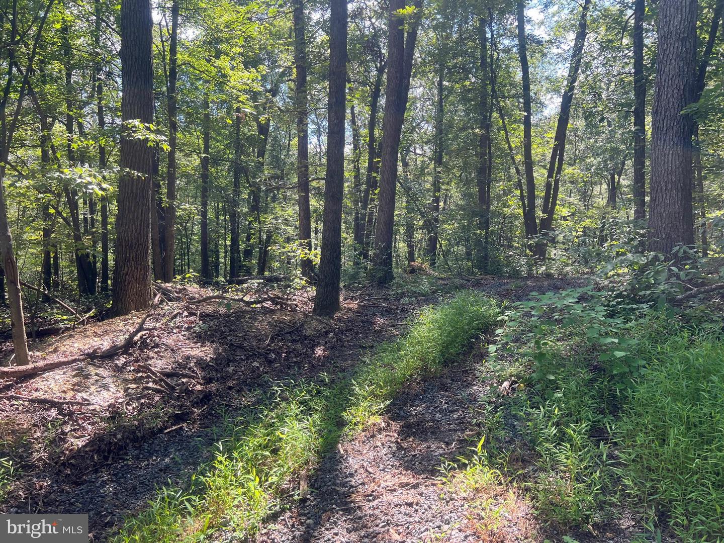 LOT 17 LAKE DR, NEW MARKET, Virginia 22844, ,Land,For sale,LOT 17 LAKE DR,VASH2012428 MLS # VASH2012428