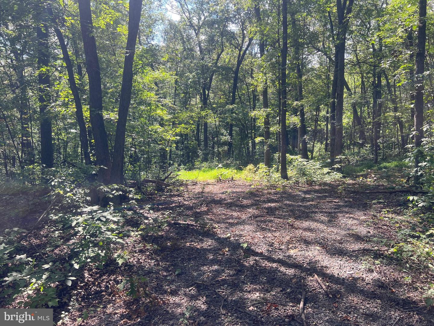 LOT 17 LAKE DR, NEW MARKET, Virginia 22844, ,Land,For sale,LOT 17 LAKE DR,VASH2012428 MLS # VASH2012428