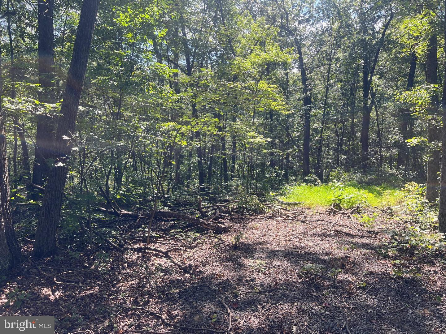 LOT 17 LAKE DR, NEW MARKET, Virginia 22844, ,Land,For sale,LOT 17 LAKE DR,VASH2012428 MLS # VASH2012428