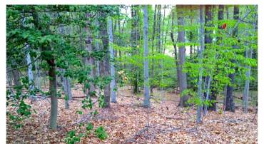 8310 UPPER SPRING LN, ANNANDALE, Virginia 22003, ,Land,For sale,8310 UPPER SPRING LN,VAFX2265010 MLS # VAFX2265010