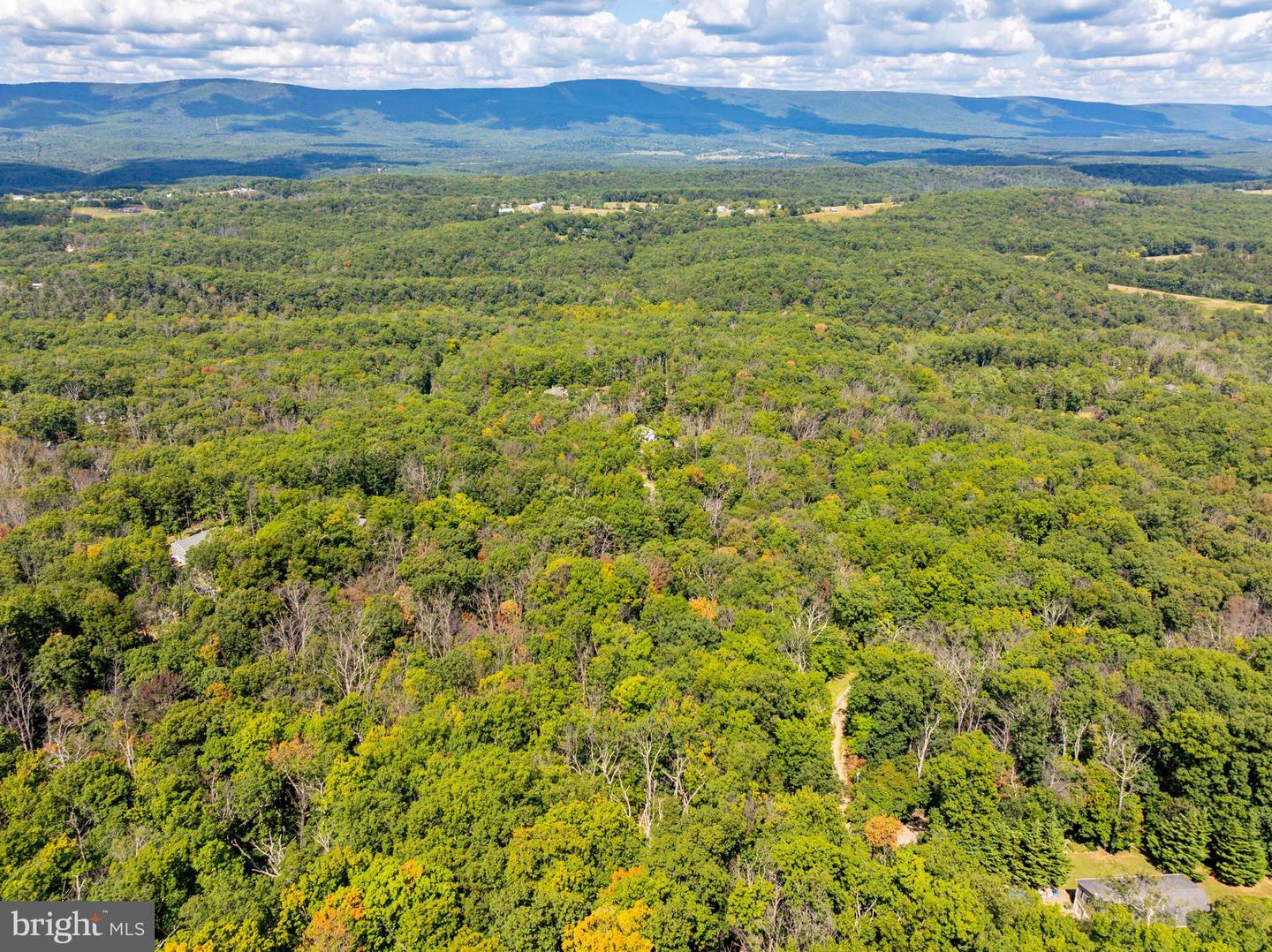 0 HUMMINGBIRD LN, STAR TANNERY, Virginia 22654, ,Land,For sale,0 HUMMINGBIRD LN,VASH2012442 MLS # VASH2012442