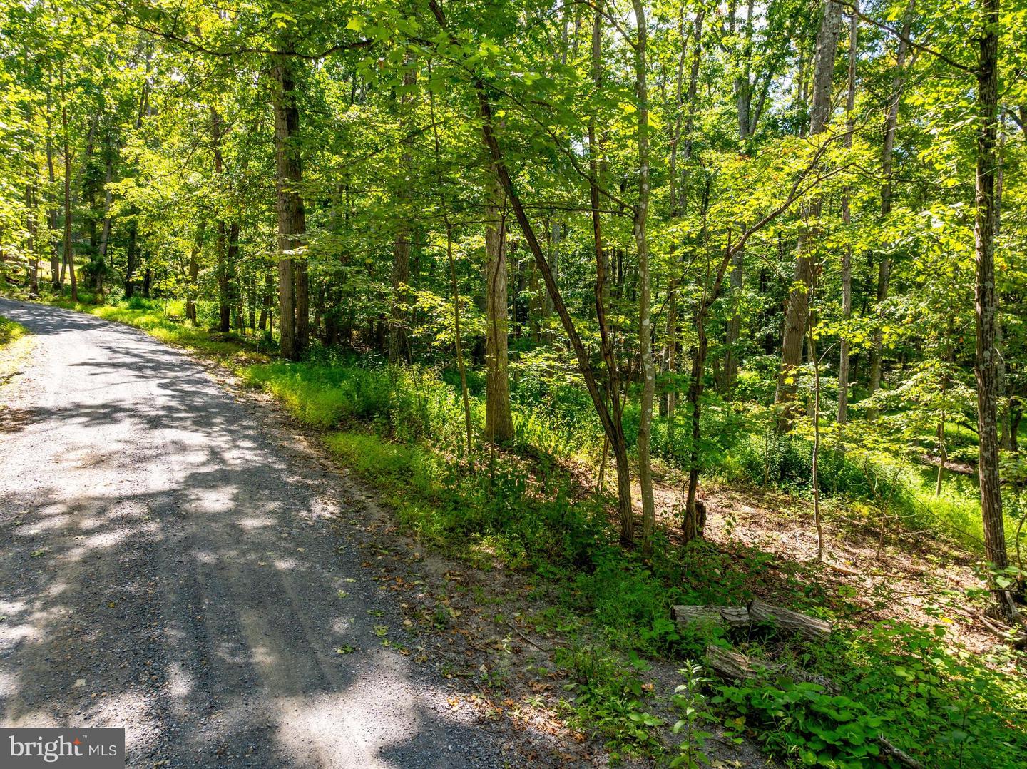 0 HUMMINGBIRD LN, STAR TANNERY, Virginia 22654, ,Land,For sale,0 HUMMINGBIRD LN,VASH2012442 MLS # VASH2012442