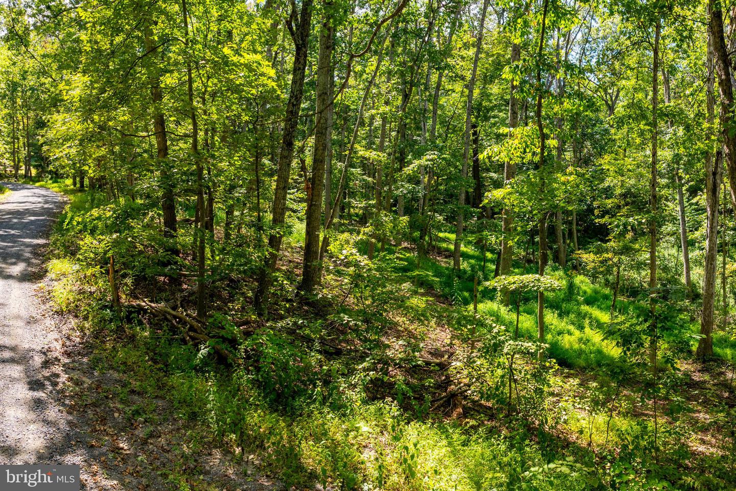 0 HUMMINGBIRD LN, STAR TANNERY, Virginia 22654, ,Land,For sale,0 HUMMINGBIRD LN,VASH2012442 MLS # VASH2012442