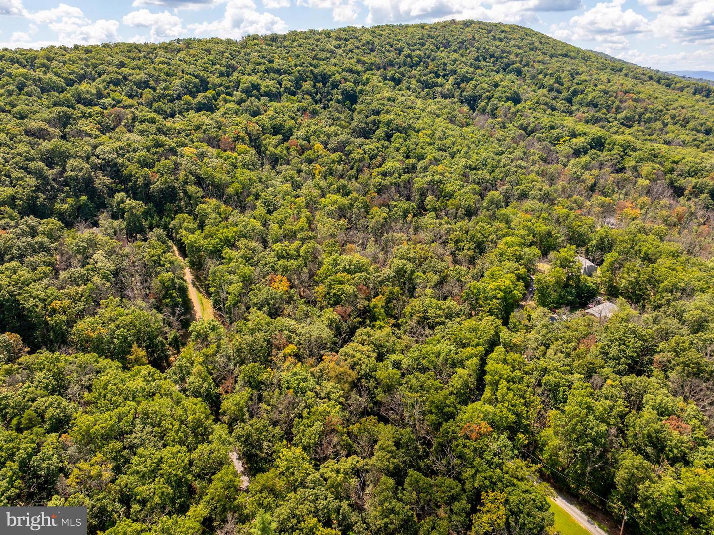 0 HUMMINGBIRD LN, STAR TANNERY, Virginia 22654, ,Land,For sale,0 HUMMINGBIRD LN,VASH2012442 MLS # VASH2012442