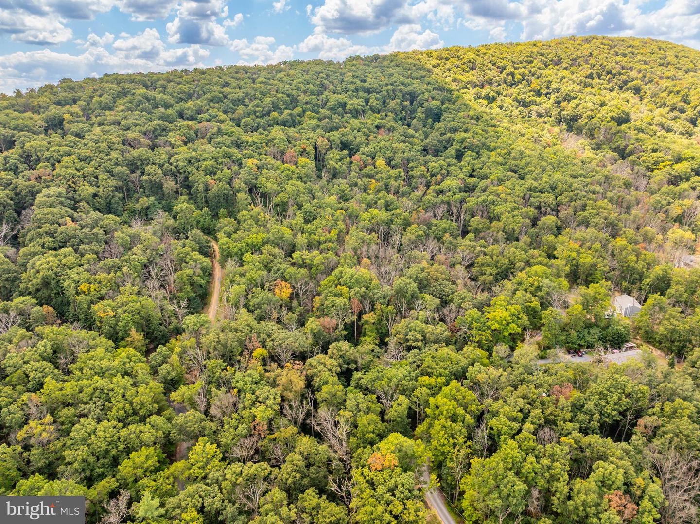 0 HUMMINGBIRD LN, STAR TANNERY, Virginia 22654, ,Land,For sale,0 HUMMINGBIRD LN,VASH2012442 MLS # VASH2012442