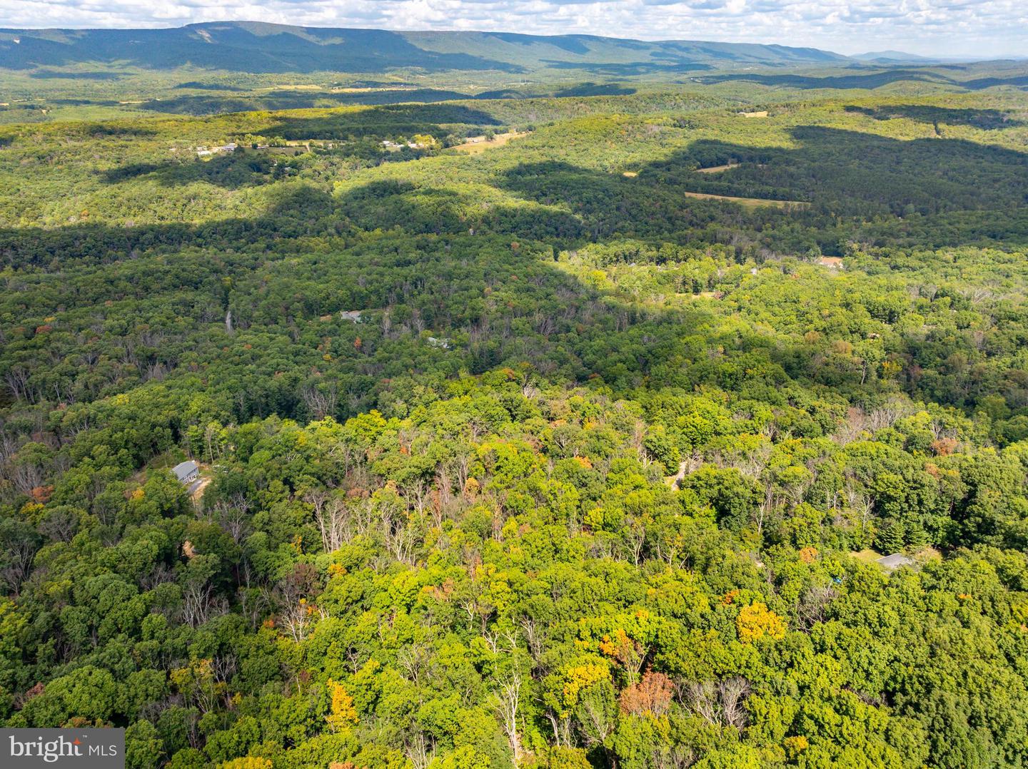 0 HUMMINGBIRD LN, STAR TANNERY, Virginia 22654, ,Land,For sale,0 HUMMINGBIRD LN,VASH2012442 MLS # VASH2012442