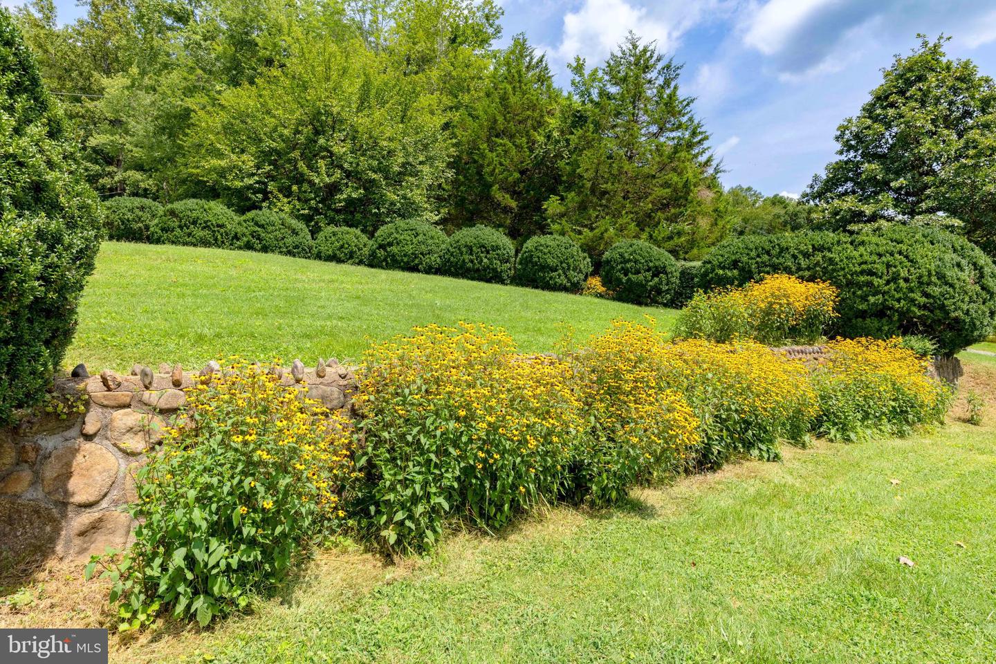 5164 N BLUE RIDGE TPKE, MADISON, Virginia 22727, 4 Bedrooms Bedrooms, 10 Rooms Rooms,2 BathroomsBathrooms,Residential,For sale,5164 N BLUE RIDGE TPKE,VAMA2002392 MLS # VAMA2002392