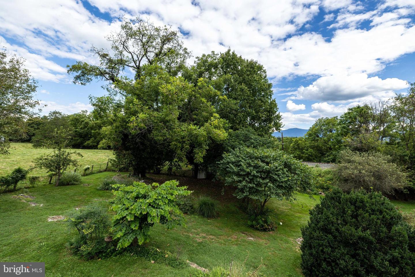 157 S COURT ST, LURAY, Virginia 22835, 3 Bedrooms Bedrooms, ,2 BathroomsBathrooms,Residential,For sale,157 S COURT ST,VAPA2005298 MLS # VAPA2005298